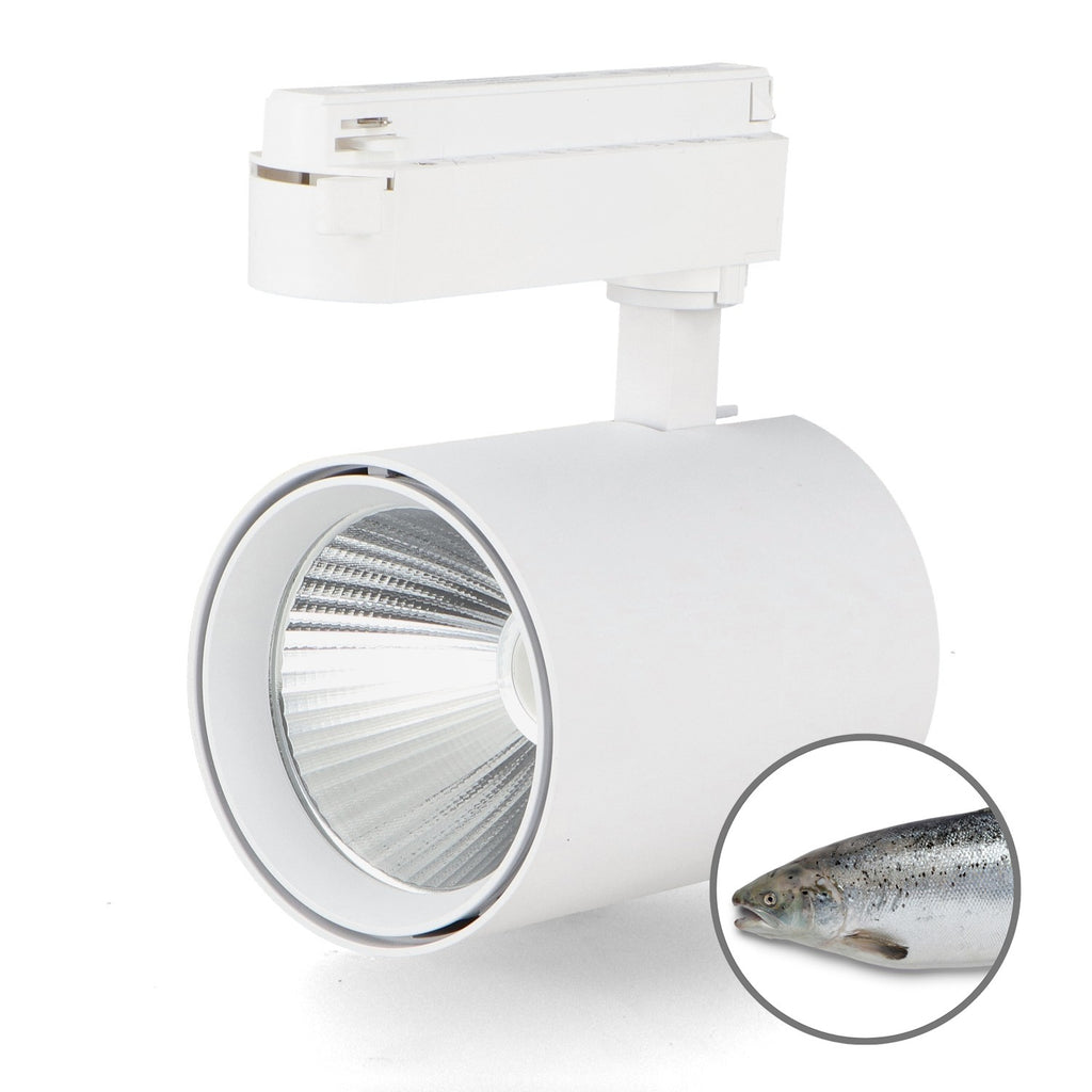 Foco LED Carril White Air 30W - CRI98 No Flicker Pescado