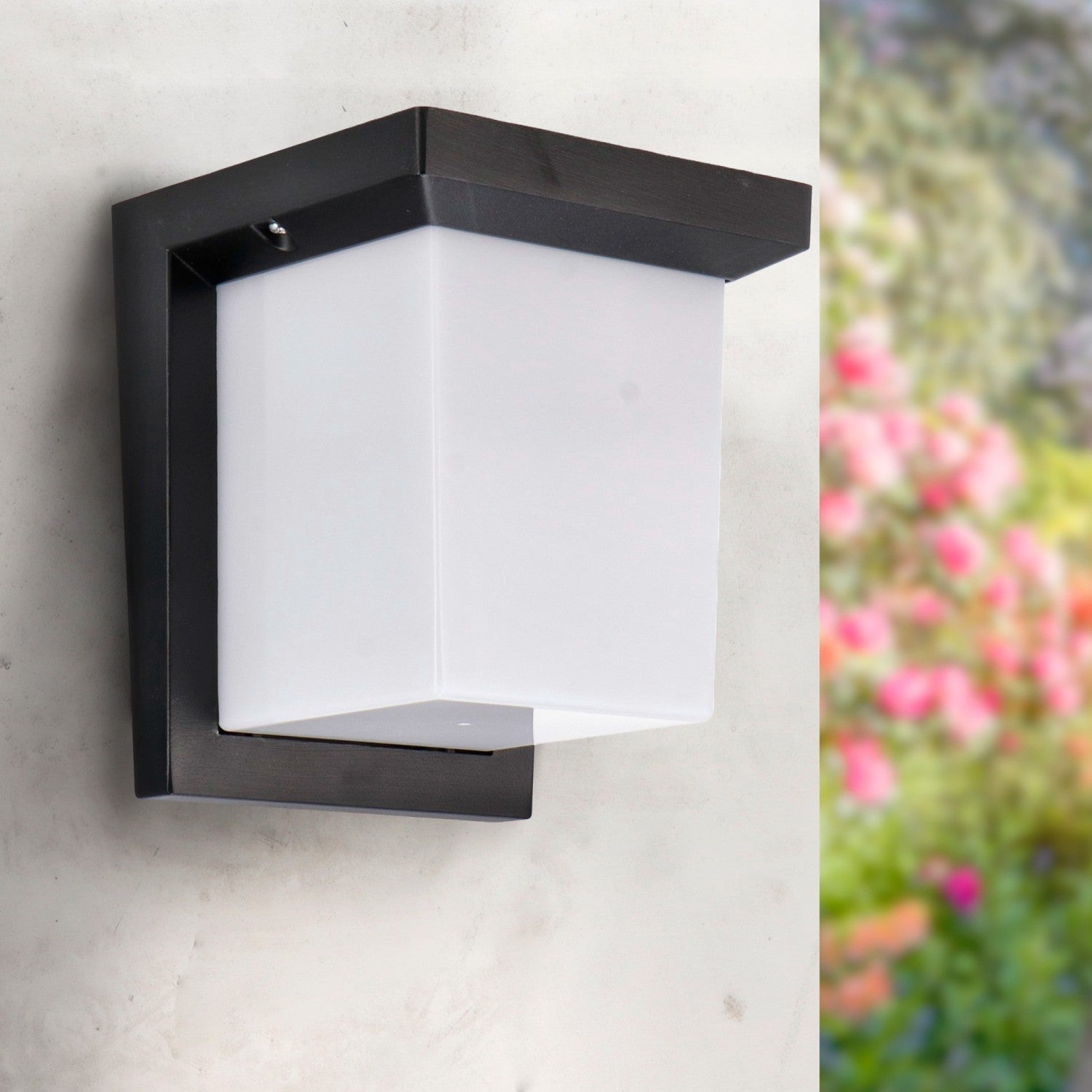 Aplique de Pared Led Dakota 12W