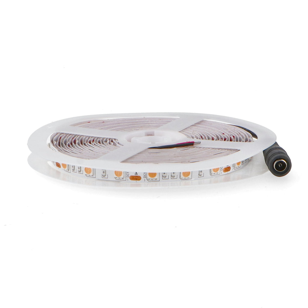 Tira LED Morada Purple | 12V | SMD 5050 | IP20 | 14W/m | 5 Metros