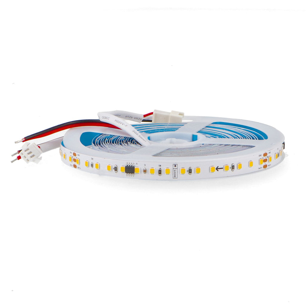 Tira LED Digital Tips 24V | SMD 2835 | 120 LED/m | 10W/m | 5 Metros | Con Controlador